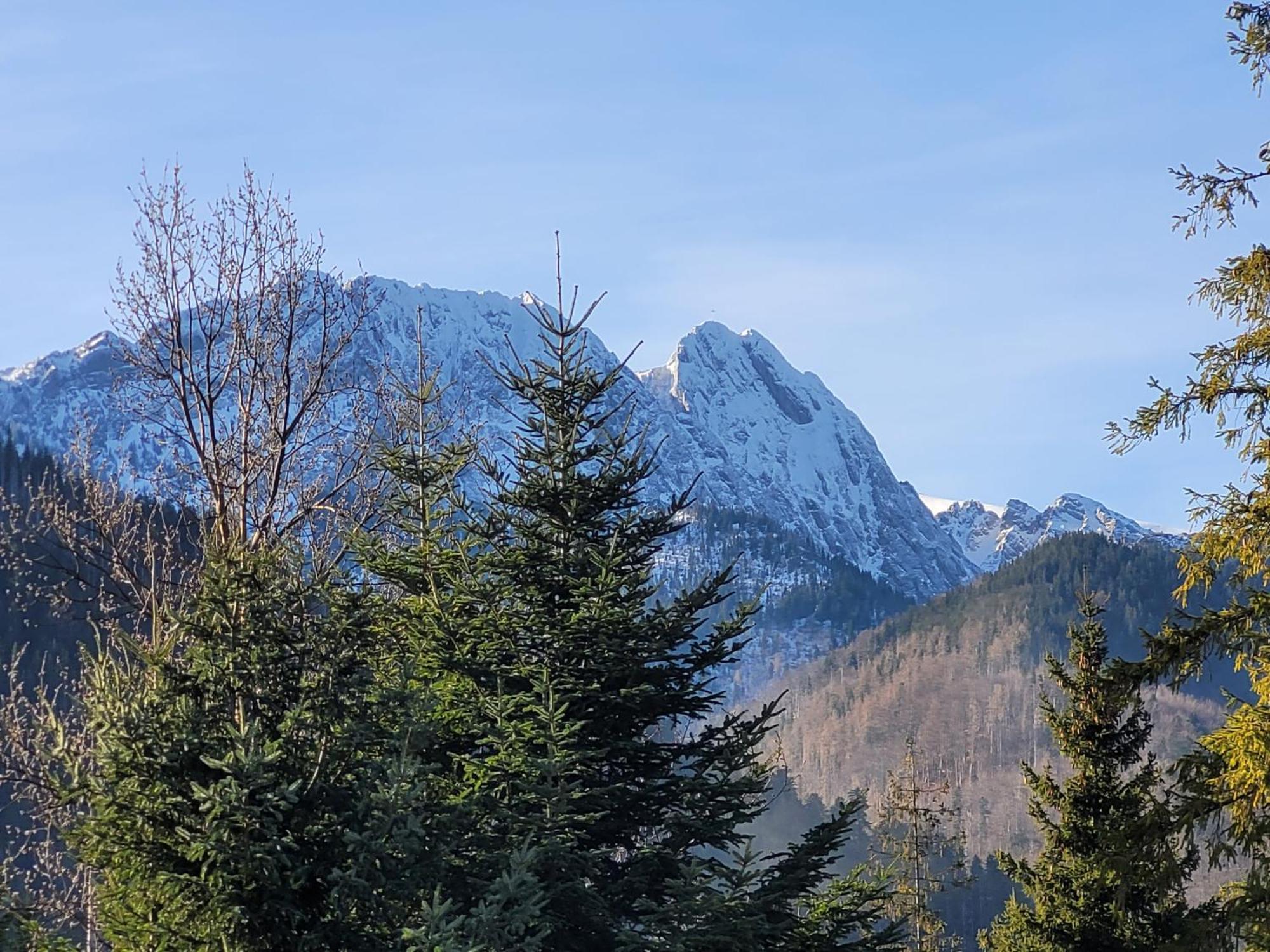 Pokoje Goscinne "Tecza" Zakopane Eksteriør bilde