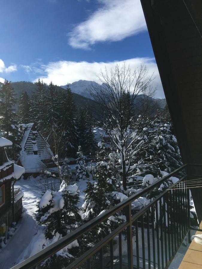 Pokoje Goscinne "Tecza" Zakopane Eksteriør bilde
